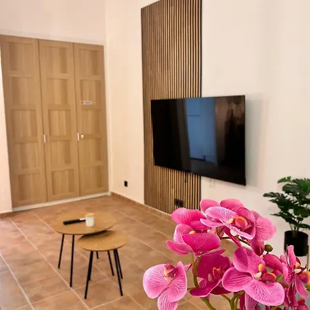 公寓 Seghers Playa Y Sol *